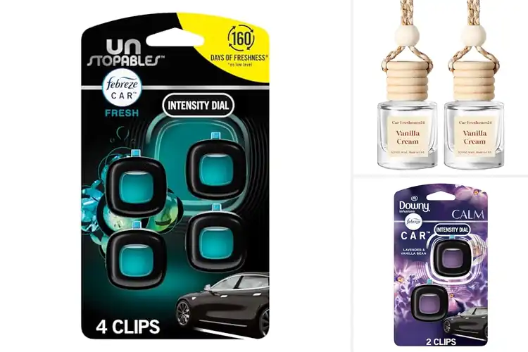Detailed view of 10 Best Car Fresheners for a Fresher Ride